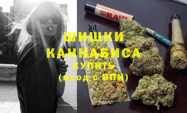 сатива Алексеевка