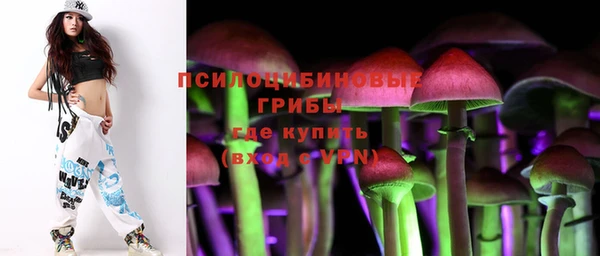 дмт Алексин