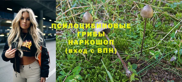 дмт Алексин