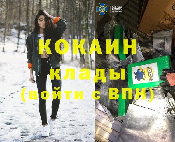 дмт Алексин