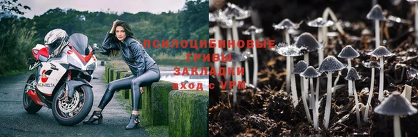 стаф Сатка